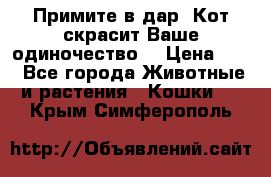 Примите в дар. Кот скрасит Ваше одиночество. › Цена ­ 0 - Все города Животные и растения » Кошки   . Крым,Симферополь